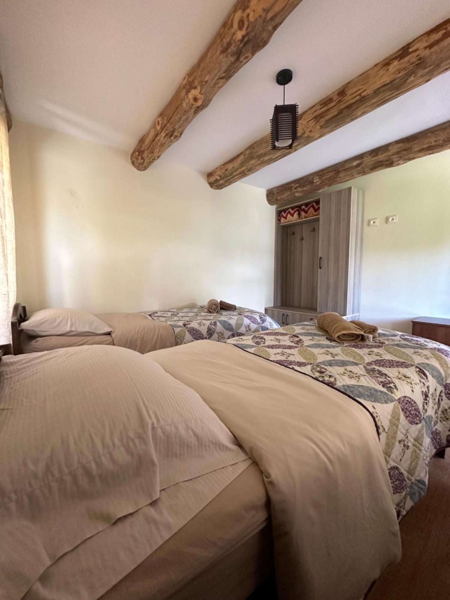 Guesthouse Lasharai Omalo المظهر الخارجي الصورة