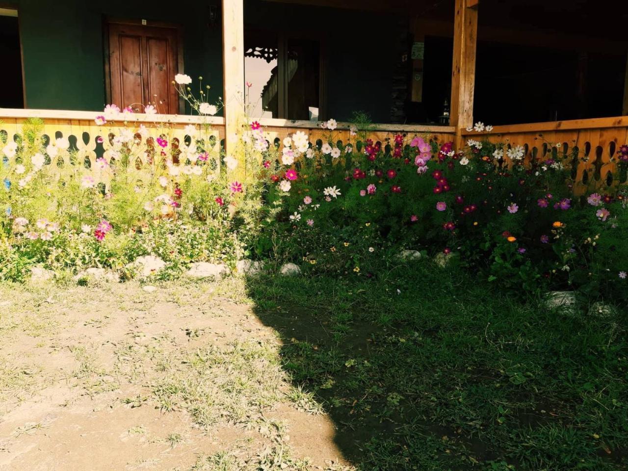 Guesthouse Lasharai Omalo المظهر الخارجي الصورة
